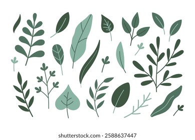 Fresh herbs concept. Cute hand drawn herbs, leaves, branches. Vector cartoon icons, stickers isolated on white background. Herbs collection. Spring herbs, leaves.