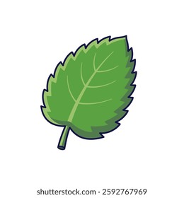 Fresh herbs concept. Cute mint leaf. Vector cartoon icon illustration. Mint in doodle style. Isolated on white background.