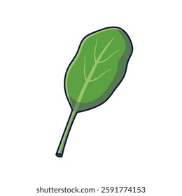 Fresh herbs concept. Cute spinach leaf. Vector cartoon icon illustration. Outline spinach in doodle style. Isolated on white background.