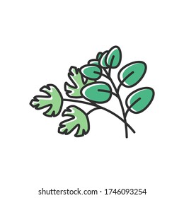 Fresh herbs green RGB color icon. Scented fresh vegetable. Italian nutrient condiment. Plant sprout. Dressing for flavor. Seasoning for cooking. Vegan salad ingredient. Isolated vector illustration