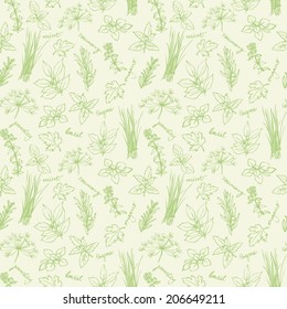 Fresh herbs seamless background vector