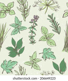 Fresh herbs seamless background vector