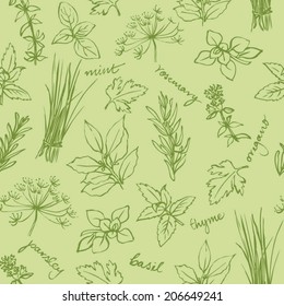 Fresh herbs seamless background vector