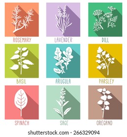 Fresh herbs and spices icon set, flat style icons with long shadows Vector illustration.