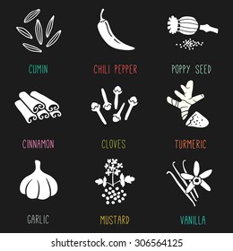 Fresh herbs and spices icon set. Vector illustration.