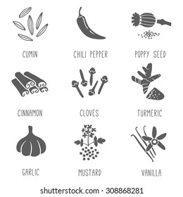 Fresh herbs and spices icon set. Vector illustration.