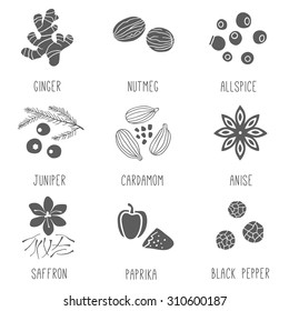 Fresh herbs and spices icon set.  Ginger, Allspice, Cardamom, Juniper, Nutmeg, Saffron, Anise, Paprika, Black pepper. Vector illustration.