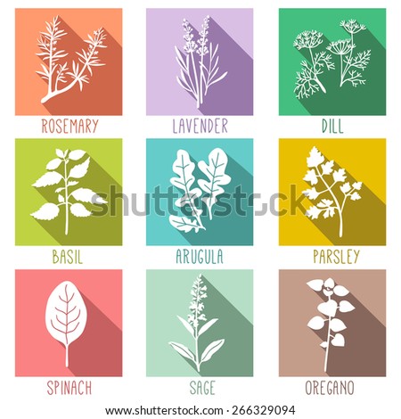 Fresh herbs and spices icon set, flat style icons with long shadows Vector illustration.