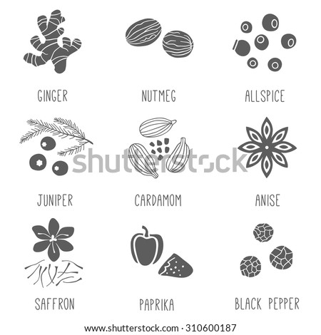 Fresh herbs and spices icon set.  Ginger, Allspice, Cardamom, Juniper, Nutmeg, Saffron, Anise, Paprika, Black pepper. Vector illustration.