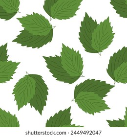 Fresh herbs and spices seasonings seamless pattern. Mint leaves. Design of packaging, background, poster, flyer. Vector flat illustration.