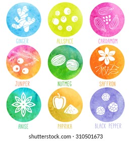 Fresh herbs and spices watercolor icon set. Ginger, Allspice, Cardamom, Juniper, Nutmeg, Saffron, Anise, Paprika, Black pepper. Vector illustration.