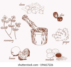 Fresh herbs and spices with wooden mortar isolated on white background
