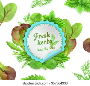 Fresh herbs, vector illustration