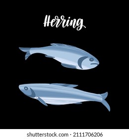 Fresh herring. Delicious sea fish. Healthy nutrition product. Vector hand drawn flat isolated illustration with dry brush texture and lettering for your design on black background.