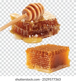 Fresh Honeycomb on transparent background