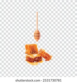fresh honeycomb on a transparent background