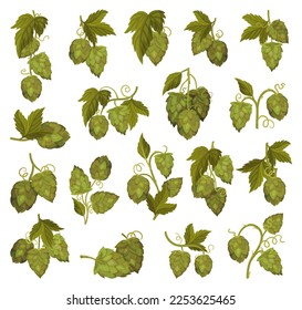 Fresh Hop Plants with Cones and Green Leaves Big Vector Set