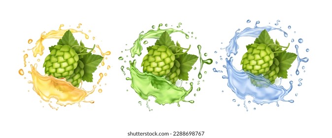 Fresh hop plants cones and green leaves in splash. Craft beer , water or hops alcohol drink. Realistic 3d vector