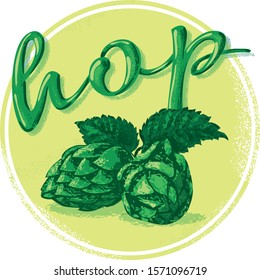 Fresh hops with text - vector illustration.  Brewery brand logo vector design.