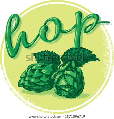 Fresh hops with text - vector illustration.  Brewery brand logo vector design.