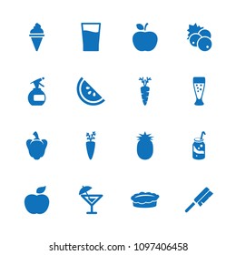 Fresh icon. collection of 16 fresh filled icons such as currant, spray bottle, soda, carrot, drink, cocktail, watermelon, pineapple. editable fresh icons for web and mobile.