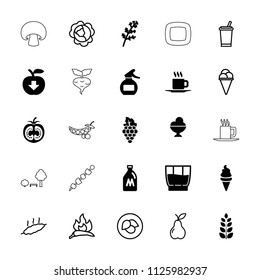Fresh icon. collection of 25 fresh filled and outline icons such as milk can, deel, ice cream, cup, drink, leaf, cabbage, chili. editable fresh icons for web and mobile.