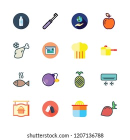 fresh icon set. vector set about pot, apple, radish and pineapple icons set.