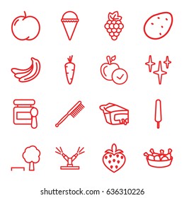 Fresh icons set. set of 16 fresh outline icons such as potato, carrot, apple, grape, banana, baby food, toothbrush, clean, ice cream, ice cream on stick, chicken leg, pie