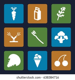 Fresh icons set. set of 9 fresh filled icons such as deel, cherry, ice cream, carrot, tooth brush, broccoli, milk, watering system