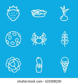 Fresh icons set. set of 9 fresh outline icons such as crab, strawberry, onion, cabbage, water bottle, pie, plant, ice cream
