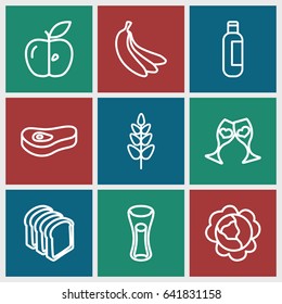 Fresh icons set. set of 9 fresh outline icons such as cabbage, bottle, milk glass, bread slices, apple, plant, clink glasses, meat