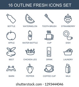 fresh icons. Trendy 16 fresh icons. Contain icons such as bottle, watermelon, tooth brush, strawberry, apple, water bottle, cup, dish, beet, chicken leg. fresh icon for web and mobile.