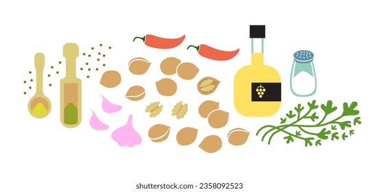 Fresh ingredients for walnut sause. Flat vector illustration isolated on white background.