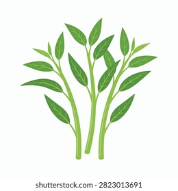 Fresh Ipomoea aquatica stems and foliage presented with clean lines and vibrant color. Ideal for food branding recipe visuals or organic product promotion.