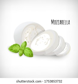 Fresh italian mozzarella cheese with basil leaves on white background. Flat vector illustration of fresh white sliced cheese. Lettering Mozzarella. Organic healthy farm food concept.