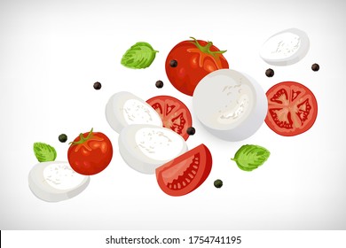 Fresh italian mozzarella cheese with whole tomatos, basil leaves, black pepper fall down on white background. Flat vector illustration of sliced cheese, tomato, basil. Caprese salad ingredients.