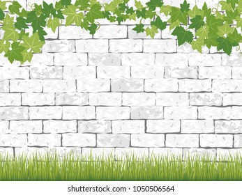 Fresh ivy leaf vector frame on white brick background. 