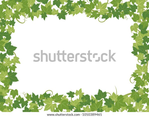 Fresh Ivy Leaf Vector Frame Stock Vector (Royalty Free) 1050389465