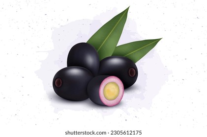 Fresh Jamun berries (Jambolan Plum, Jambhul) Fruit Vector illustration 