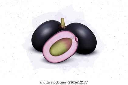 Fresh Jamun berries (Jambolan Plum, Jambhul) Fruit Vector illustration 