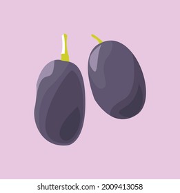 fresh jamun fruit vector illustration