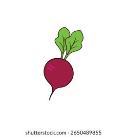 Fresh juicy beetroot with leafy green tops artistic flat vector Vector illustration