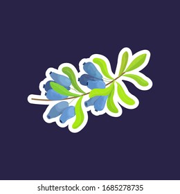 fresh juicy blue honeysuckle brunch with leaves tasty ripe fruit berry sticker healthy food concept vector illustration