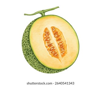  Fresh and juicy cantaloupe melon illustration, featuring a vibrant slice and whole fruit. Ideal for promoting healthy eating, summer recipes, organic produce, and food-related content.