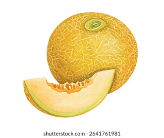  Fresh and juicy cantaloupe melon illustration, featuring a vibrant slice and whole fruit. Ideal for promoting healthy eating, summer recipes, organic produce, and food-related content.