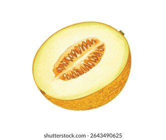 Fresh and juicy cantaloupe melon illustration, featuring a vibrant slice and whole fruit. Ideal for promoting healthy eating, summer recipes, organic produce, and food-related content.