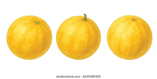 Ilustração fresca e suculenta de melão cantaloupe, com uma fatia vibrante e fruta inteira. Ideal para promover a alimentação saudável, receitas de verão, produtos orgânicos e conteúdo relacionado à alimentação.