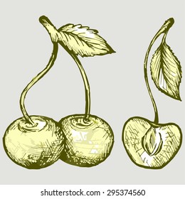 Fresh juicy cherries. Vector Image