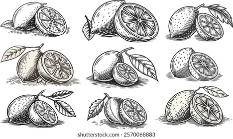 fresh, juicy, citrus, food, ingredient, vegetarian, lemon, isolated, fruit, cut, piece, collection, slice, half, circle, sliced, leaf, lemonade, set, green, organic, ripe, yellow, color, object 