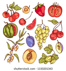 Fresh juicy fruit and berries, vector set.